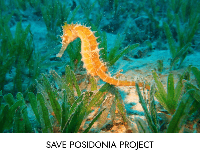 Causa anterior